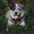 Sandy Wojtaszek's profile image