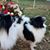 Jon Birdwell's profile image