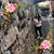 Jessica Pizzo's profile image