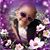 Christy Potocki's profile image