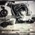 Kimberly Ann Carter's profile image