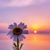 Julie Seidel's profile image