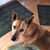 Andrea Tyminski's profile image