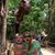 Brianne Millay's profile image