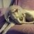 Pierrette Xhonneux's profile image