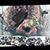 Stephanie Perry Hutton's profile image
