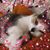 Luann Duchess's profile image
