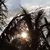 Debbie Leahy's profile image