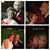 Cj-Lisa Henson's profile image