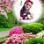 Jackie Barroga's profile image