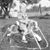 Robby Robbins's profile image