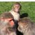 Matt McNeil's profile image