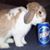 Patrick J. Healey's profile image