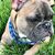 Martea Myles's profile image