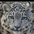 Lynn Harrison's profile image