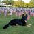 Pam Waller's profile image
