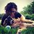 Taralyn Sample's profile image