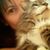 Heather Wood's profile image