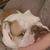 Margarett Anne Popow's profile image
