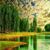 Jorge Jacobo Perez's profile image