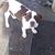 Darline Dakota's profile image