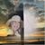 Sandra Reynolds's profile image