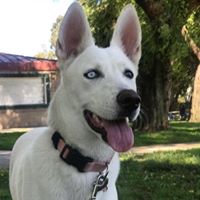 Coral Jimenez's profile image