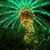 Wendy Pahl's profile image