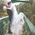 Victoria Snell's profile image