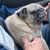 Michelle Perkins Hallock's profile image