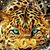Dale Leppard's profile image