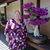 Nichole Gould's profile image