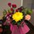 Susie Templeton Jensen Hall's profile image