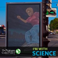 Pat Montgomery's profile image