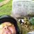 Jeff Westgard's profile image