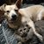 Barbara Lake Allred's profile image