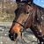 Donna Ann's profile image