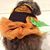 Kan Navi Mairi's profile image