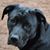 Connie Baxter Casatelli's profile image
