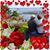 Karen Freiwald's profile image