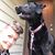 Melissa Narum's profile image