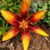 Crystal Guimaraes's profile image