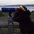 Ras Benjie's profile image