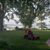 James L Pollick's profile image