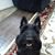 GarrettandKathie Jackson's profile image