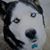 NancyAnne Glynn's profile image