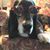 Gina Barre's profile image