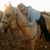 Jamie V. Wallingsford Bridges's profile image