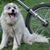 Butch Kamstra's profile image