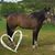 Kristy Krause-Emerson's profile image